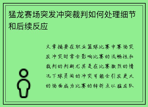 猛龙赛场突发冲突裁判如何处理细节和后续反应